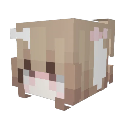 Sag0i Minecraft avatar head, 3D render