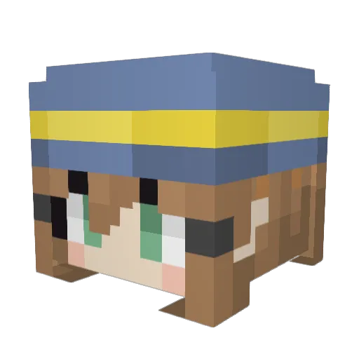 Sagacitym Minecraft avatar head, 3D render