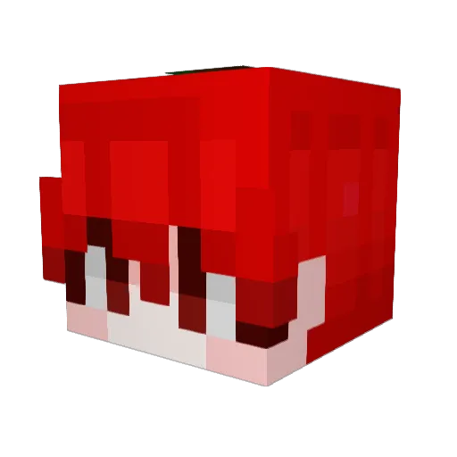 Sagaguang Minecraft avatar head, 3D render