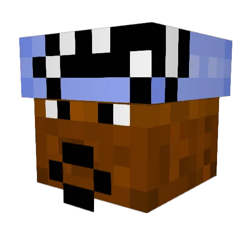 Sagar1 Minecraft avatar head, 3D render