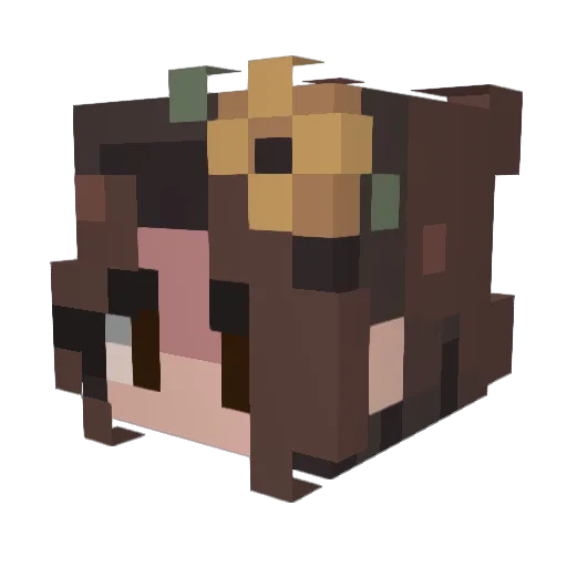 Sagasup20 Minecraft avatar head, 3D render