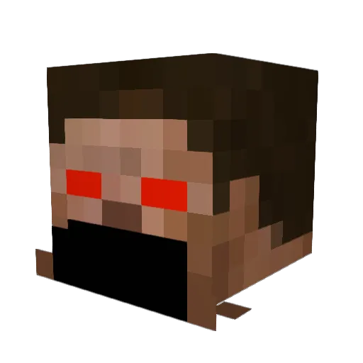Sage1217 Minecraft avatar head, 3D render