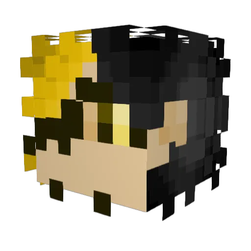 Sage212 Minecraft avatar head, 3D render