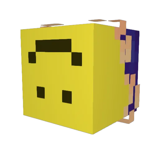SageBuilder09 Minecraft avatar head, 3D render