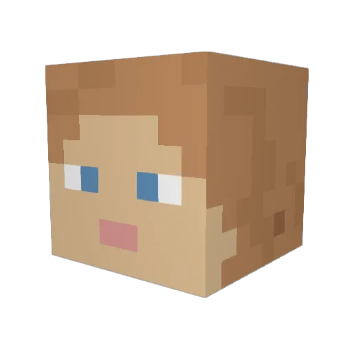 SageCannon Minecraft avatar head, 3D render