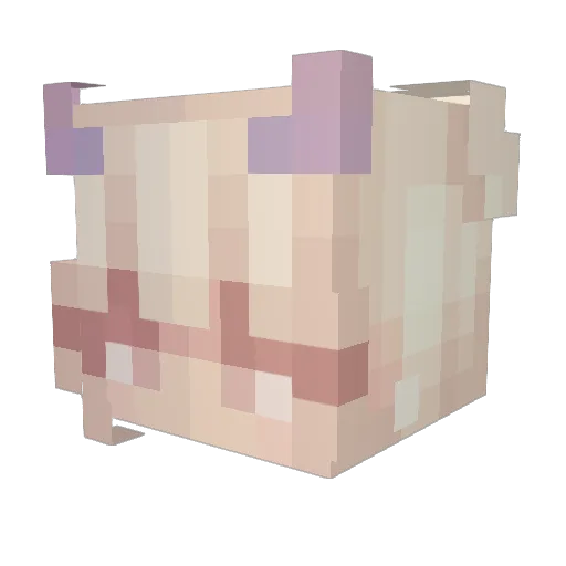 SageGodz Minecraft avatar head, 3D render