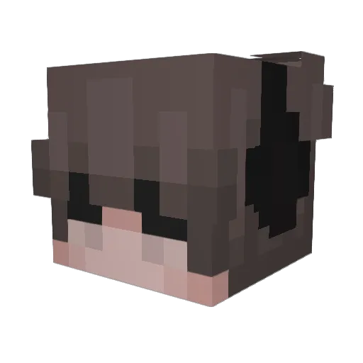 SageJiraiya Minecraft avatar head, 3D render