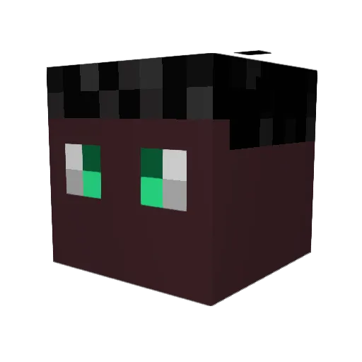 SageMaster Minecraft avatar head, 3D render