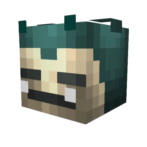 SageOfEnd Minecraft avatar head, 3D render