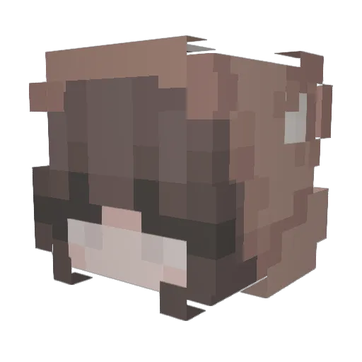 SageSammy Minecraft avatar head, 3D render