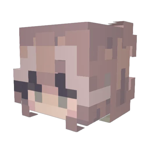 SageTessa Minecraft avatar head, 3D render