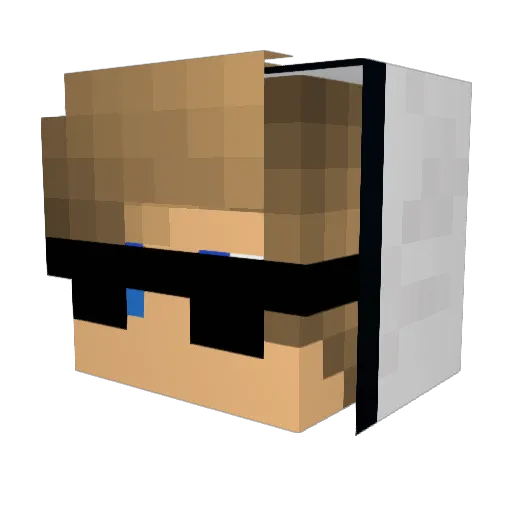 SageToaster5282 Minecraft avatar head, 3D render