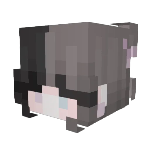 SageTxT Minecraft avatar head, 3D render