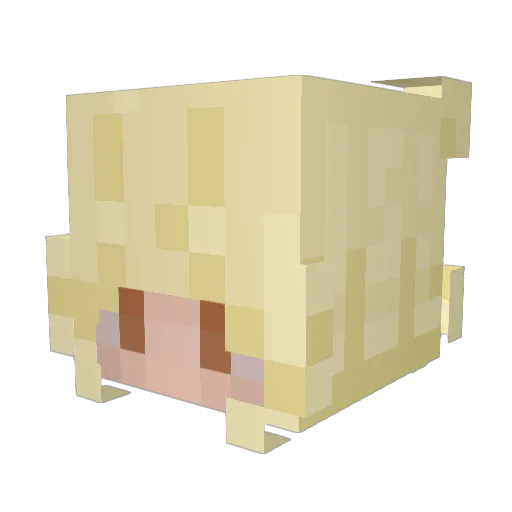 SageWasLive Minecraft avatar head, 3D render