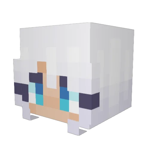 Sage_TV Minecraft avatar head, 3D render