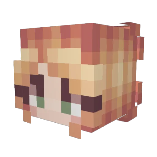 Sagedog8487 Minecraft avatar head, 3D render