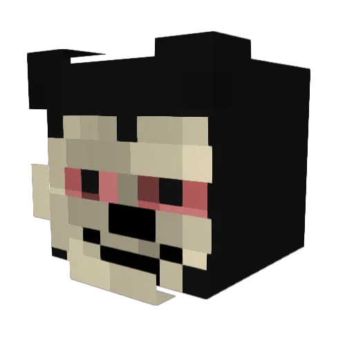Sageek Minecraft avatar head, 3D render