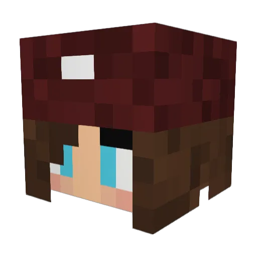 Sagefather Minecraft avatar head, 3D render
