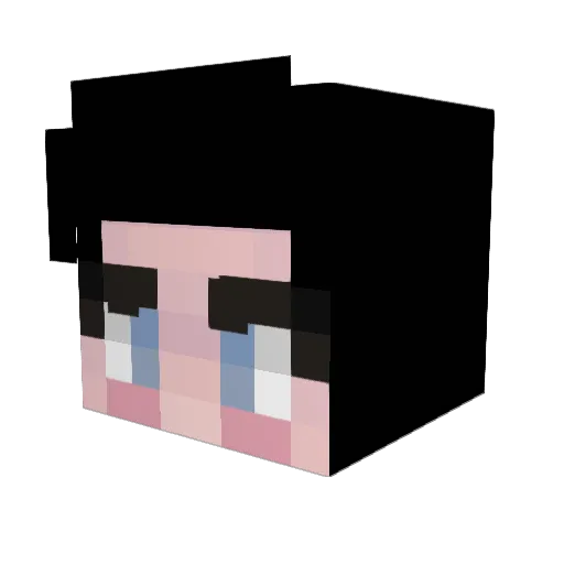 Sageisgae Minecraft avatar head, 3D render