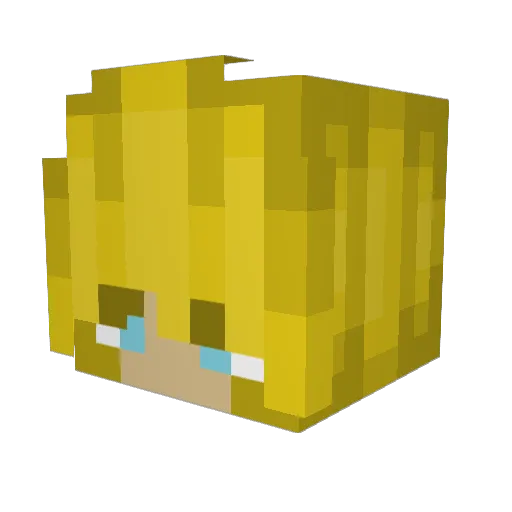 Sageisgreat19 Minecraft avatar head, 3D render