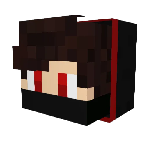 Sagekidd Minecraft avatar head, 3D render