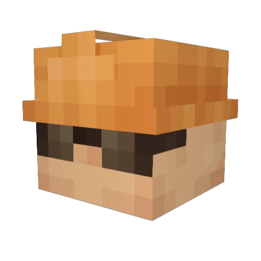 Sagewynn1 Minecraft avatar head, 3D render