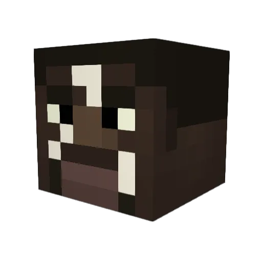 SaggSahne Minecraft avatar head, 3D render