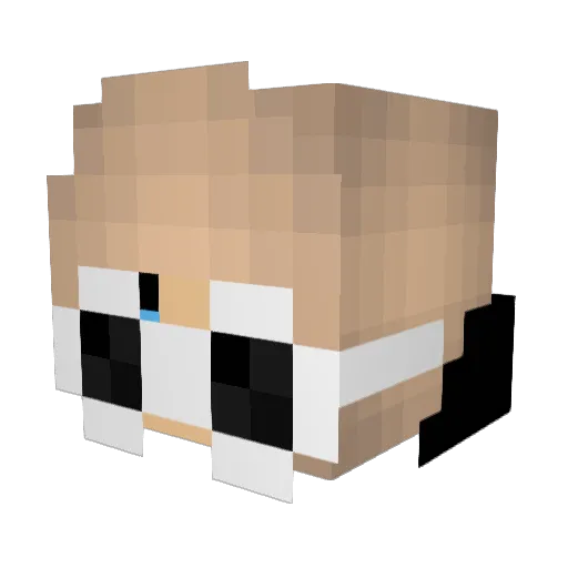 Saggin_Baggins Minecraft avatar head, 3D render