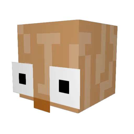 Saggycat Minecraft avatar head, 3D render