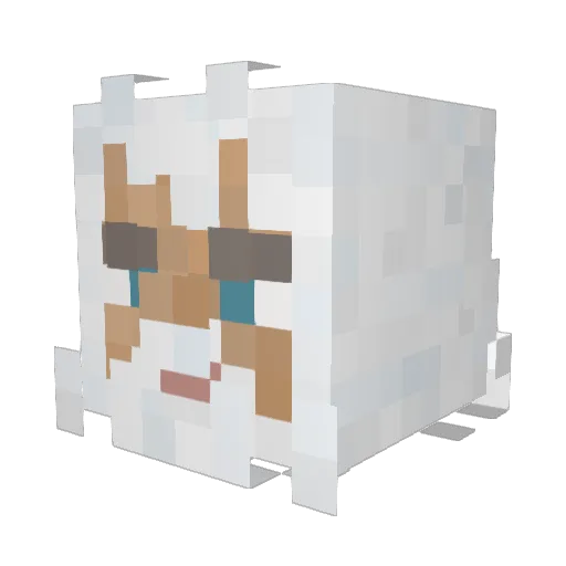 Sagi12349 Minecraft avatar head, 3D render