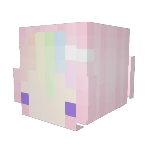 SagieBrush Minecraft avatar head, 3D render