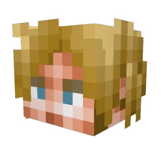 SagittaWildcat Minecraft avatar head, 3D render