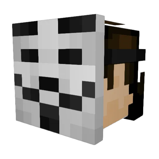 Sagivism Minecraft avatar head, 3D render