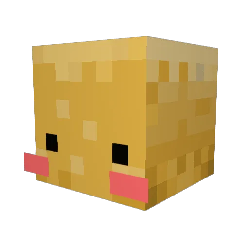 Sagon_ Minecraft avatar head, 3D render