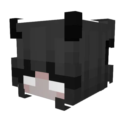 Sagrail8 Minecraft avatar head, 3D render