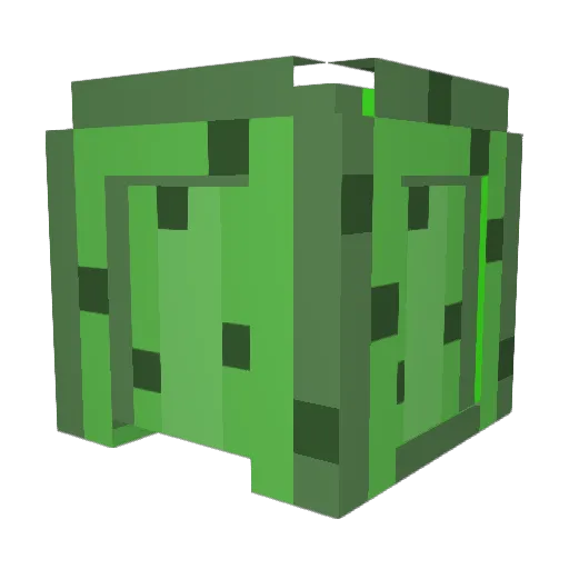 SaguaroFlower Minecraft avatar head, 3D render