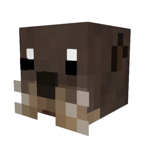Saharju Minecraft avatar head, 3D render