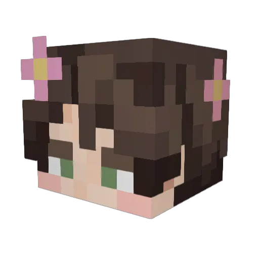 Sahatik Minecraft avatar head, 3D render