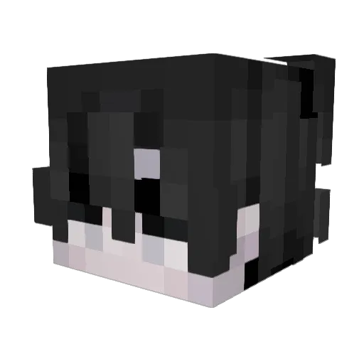 Sahil2807 Minecraft avatar head, 3D render