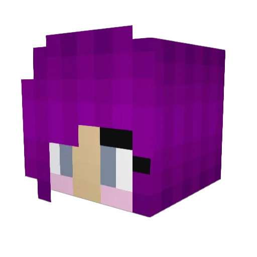 Sahmet Minecraft avatar head, 3D render