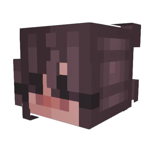 Sahr123 Minecraft avatar head, 3D render