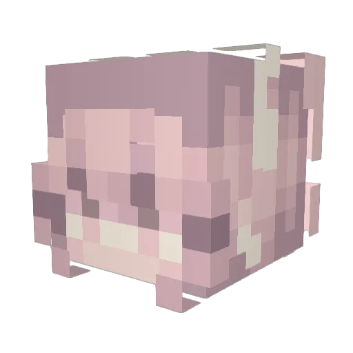 Sahrang1214 Minecraft avatar head, 3D render