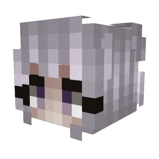 Sahrot Minecraft avatar head, 3D render