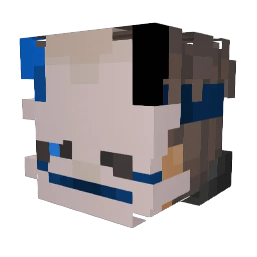 Sahsan Minecraft avatar head, 3D render