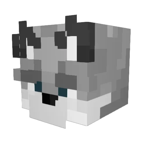 Saico_69 Minecraft avatar head, 3D render