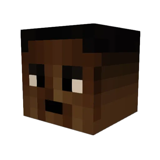 SaidSaidSo Minecraft avatar head, 3D render