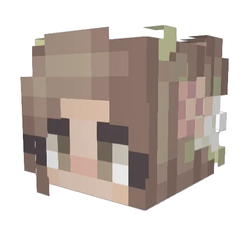 Saie Minecraft avatar head, 3D render