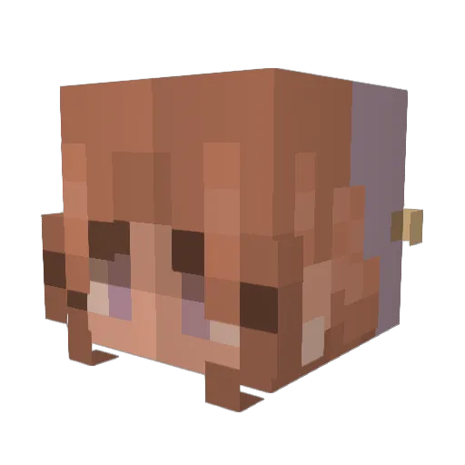 Saige07 Minecraft avatar head, 3D render