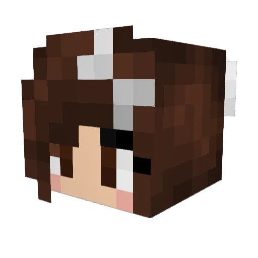 Saigebug Minecraft avatar head, 3D render