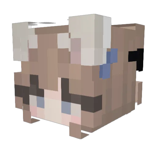 Saiko121 Minecraft avatar head, 3D render